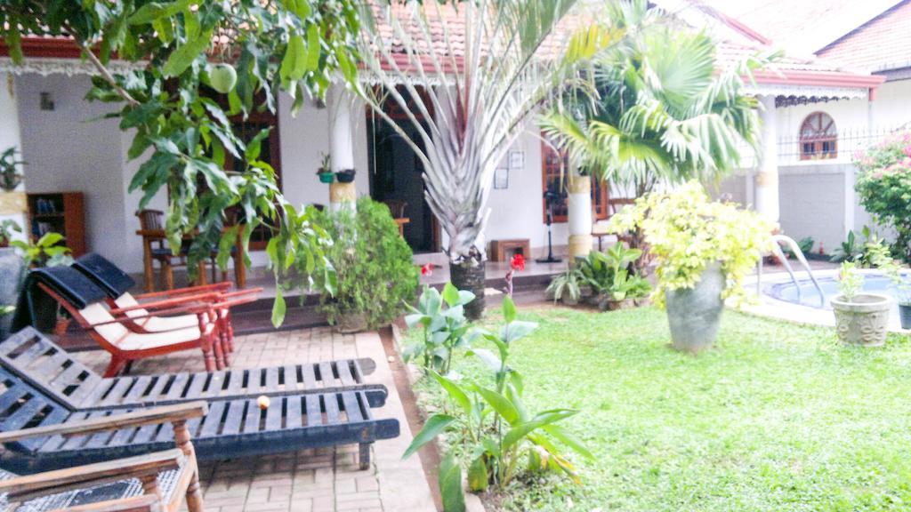 Serendib Guest House 尼甘布 外观 照片
