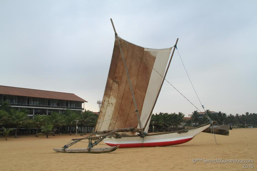 Serendib Guest House 尼甘布 外观 照片