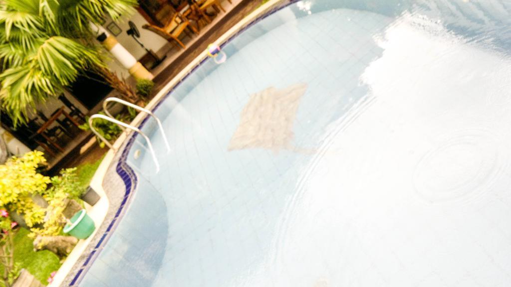 Serendib Guest House 尼甘布 外观 照片