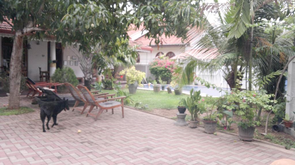 Serendib Guest House 尼甘布 外观 照片