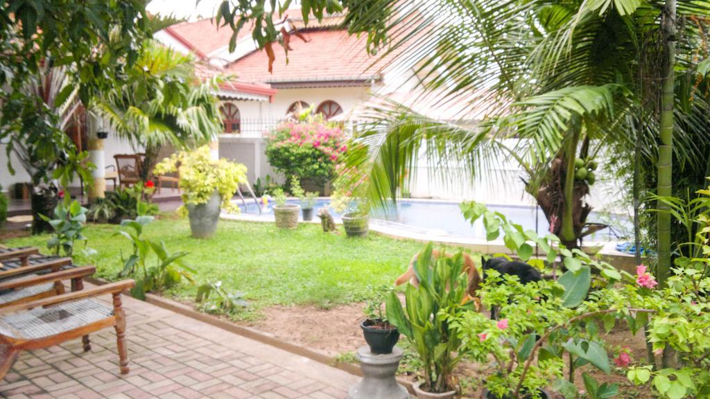 Serendib Guest House 尼甘布 外观 照片