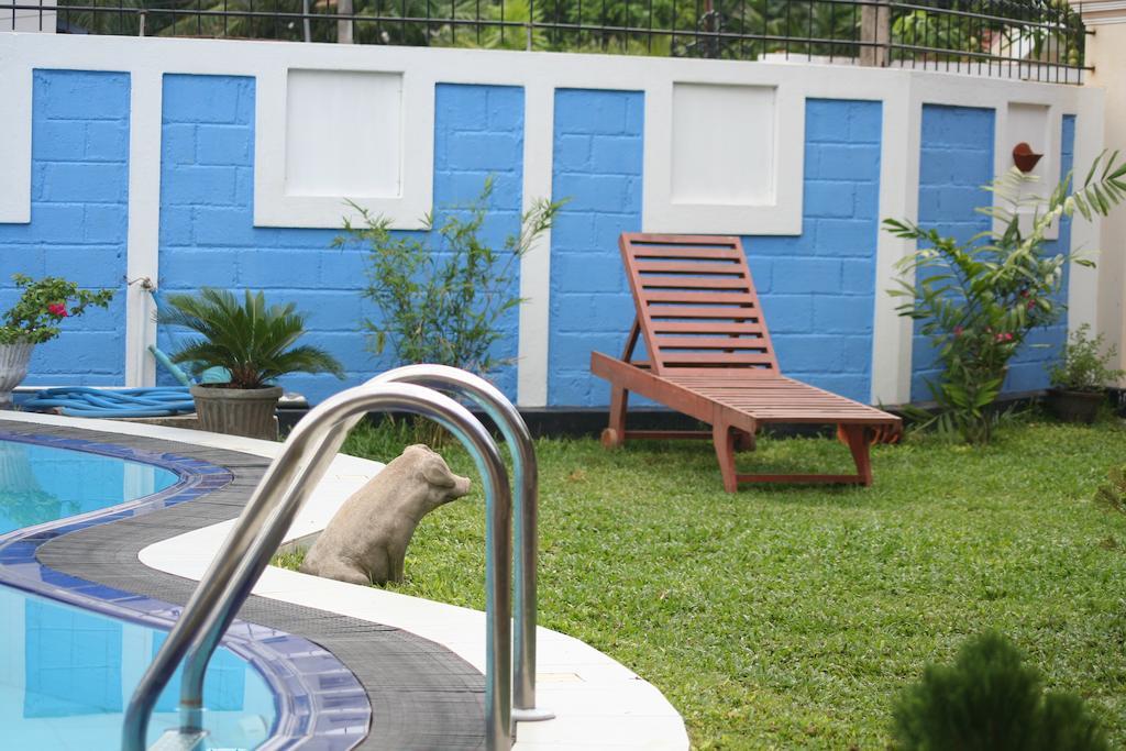 Serendib Guest House 尼甘布 外观 照片
